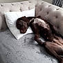 dog, sleeping, couch, pillow, indoor, resting, brown_dog, fur, pet, relaxed, nap, cozy, furniture, living_room, blanket, curtains, comfort, domestic_animal, canine, home