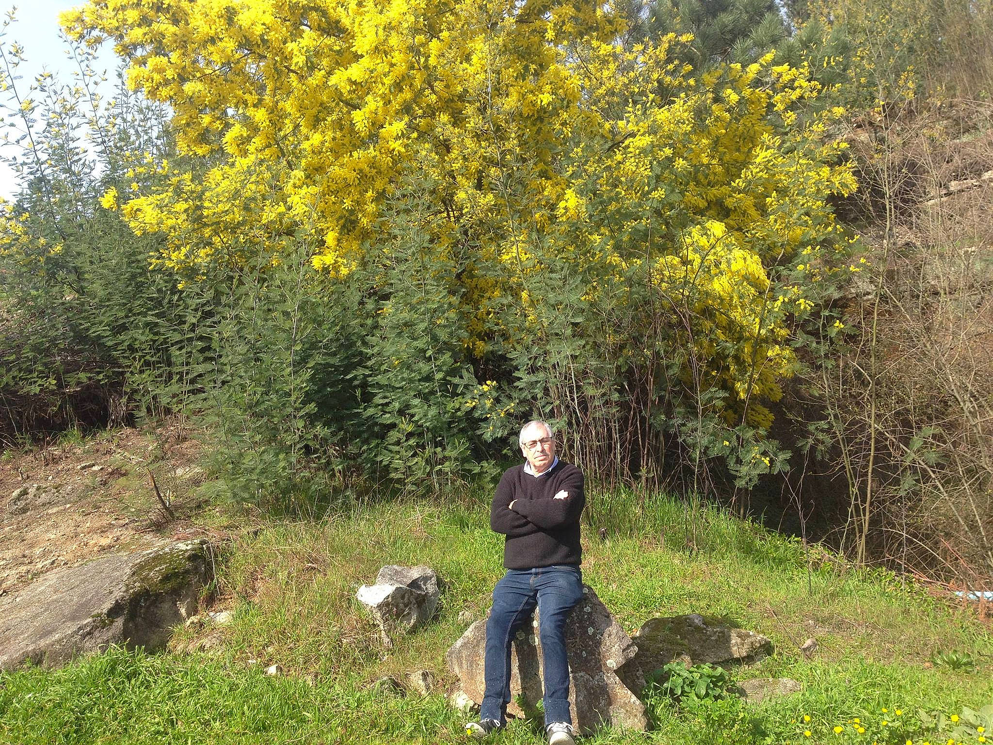Catalina a rejoint le concours — aidez-le/la à gagner de superbes lots ! autumn, birch_family, boot, denim, goldenrod, groundcover, jeans, person, plant, shrub, shrubland, subshrub, temperate_broadleaf_and_mixed_forest, yellow