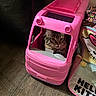 Pumpkin joined the competition — help win amazing prizes! cat, tabby, toy_car, pink, indoor, wooden_floor, hello_kitty, backpack, pet, cute, animal, feline, playful, childs_toy, window, seat, domestic, fur, whiskers, curious