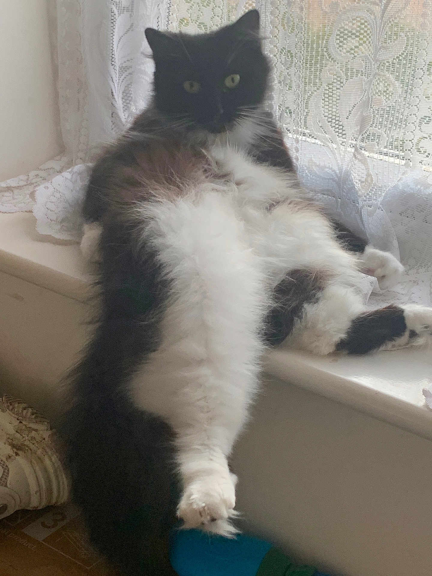 Princess Nala