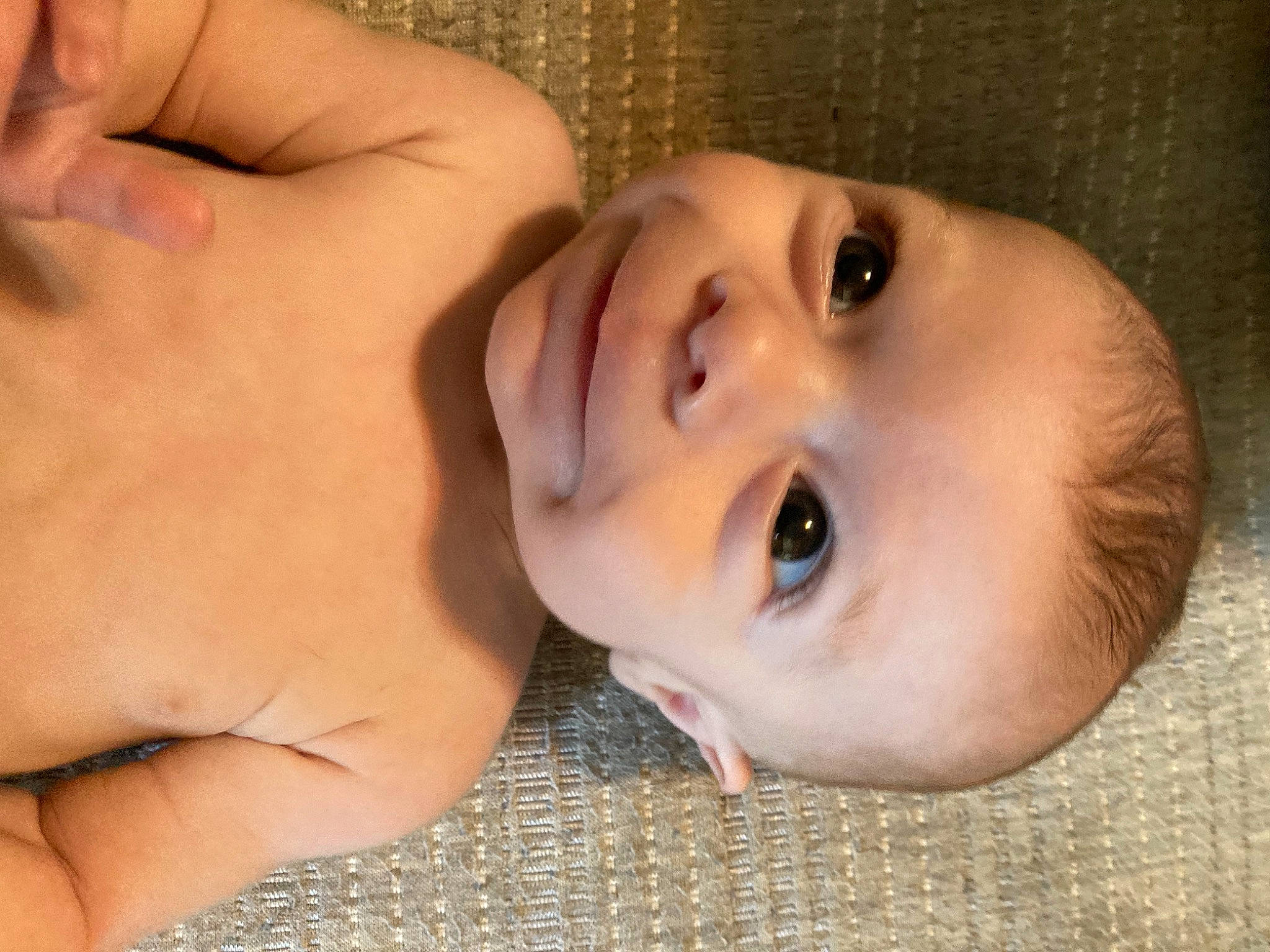 Kodi joined the competition — help win amazing prizes! baby, cheek, chin, eye, eyebrow, eyelash, facial_expression, forehead, hair, hand, human_body, iris, jaw, lip, mouth, muscle, neck, nose, person, skin