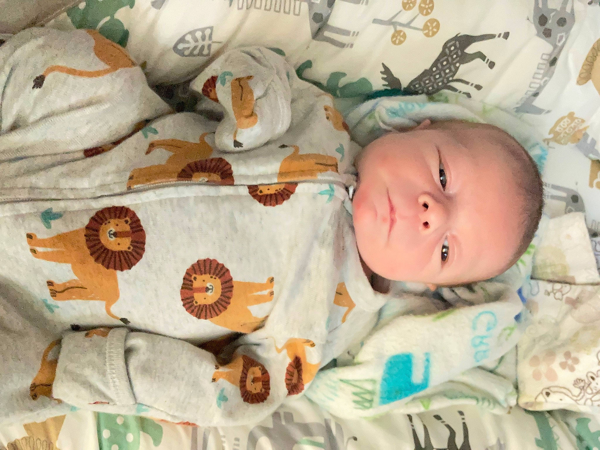 Kodi joined the competition — help win amazing prizes! baby, baby_products, baby_safety, baby_sleeping, baby_toddler_clothing, bedding, bedtime, cheek, child, comfort, eye, head, linens, pattern, person, product, room, skin, sleeve, textile