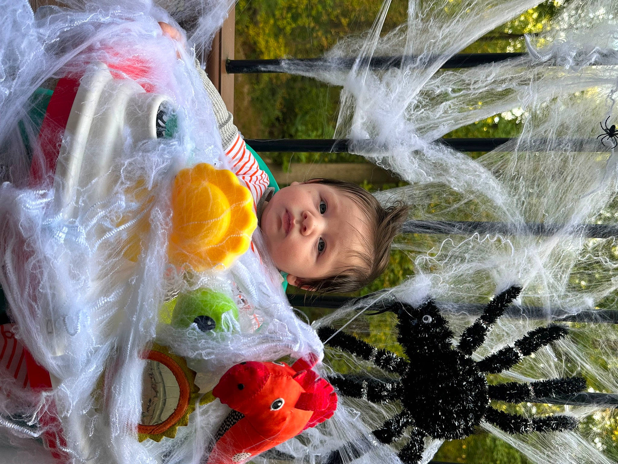 Atticus joined the competition — help win amazing prizes! art, child, event, facial_expression, fun, grass, happy, head, headgear, leaf, leisure, mammal, organism, person, plant, toddler, toy, tree, vertebrate, water