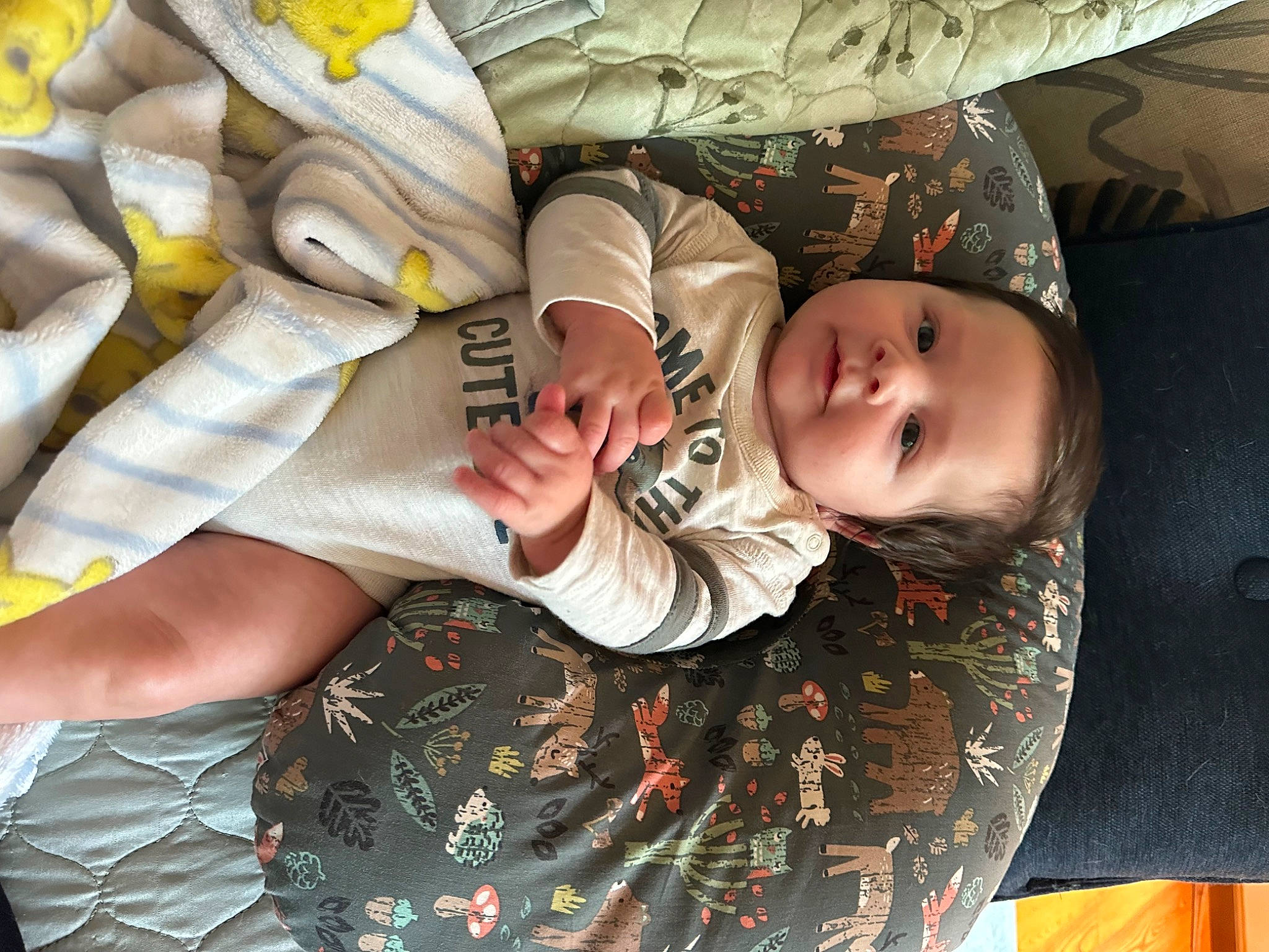 Atticus is registered to the contest to win money with this photo: baby, baby_products, baby_sleeping, baby_toddler_clothing, cheek, child, comfort, facial_expression, fun, happy, linens, nail, pattern, person, room, sitting, skin, sleeve, toddler, tree