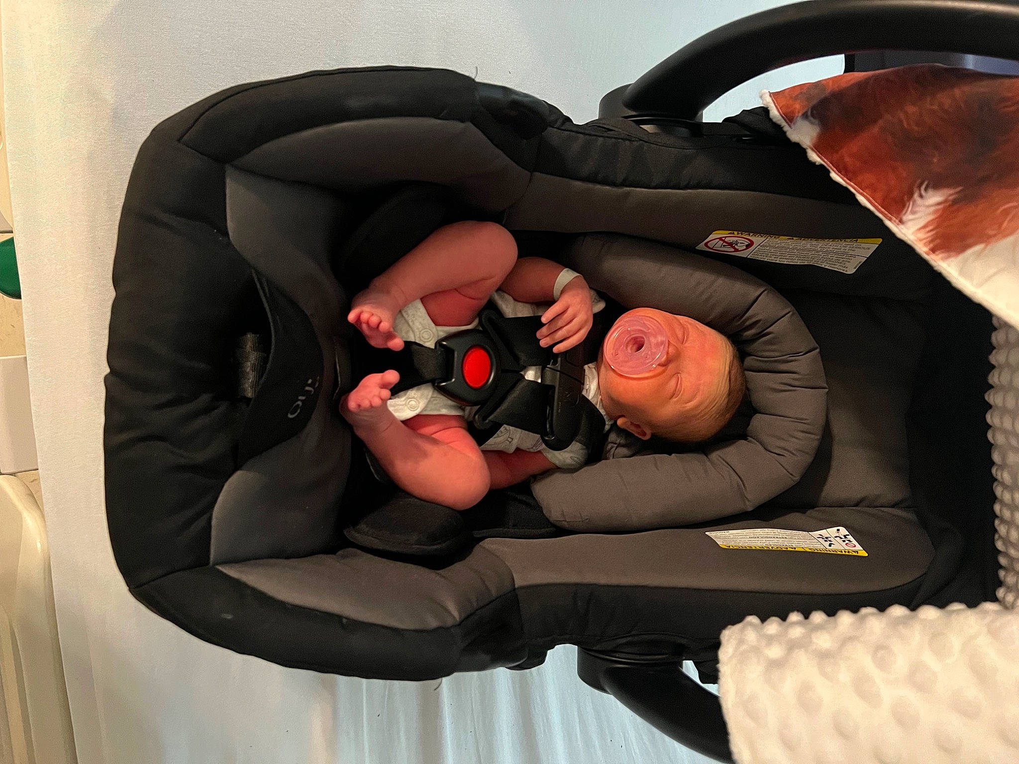 Beckett joined the competition — help win amazing prizes! animation, audio_equipment, auto_part, automotive_design, automotive_tire, automotive_wheel_system, baby_products, bag, car_seat, carmine, comfort, fashion_accessory, inflatable, linens, person, personal_protective_equipment, recreation, rim, room, tire