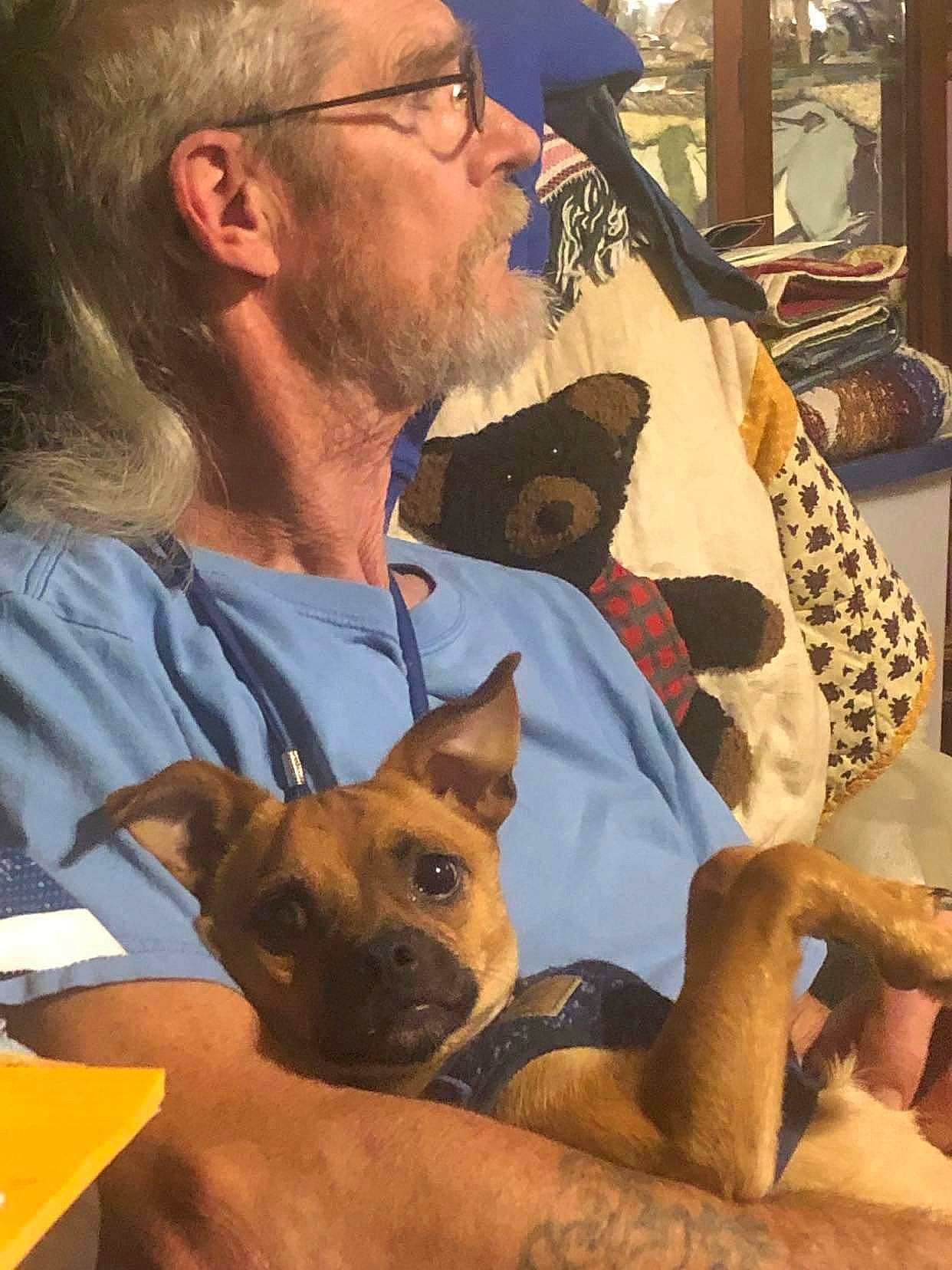 Chewy joined the competition — help win amazing prizes! beard, canidae, carnivore, comfort, companion_dog, dog, dog_breed, ear, event, eyewear, fawn, glasses, hat, mammal, microphone, snout, sporting_group, sunglasses, vision_care, working_animal