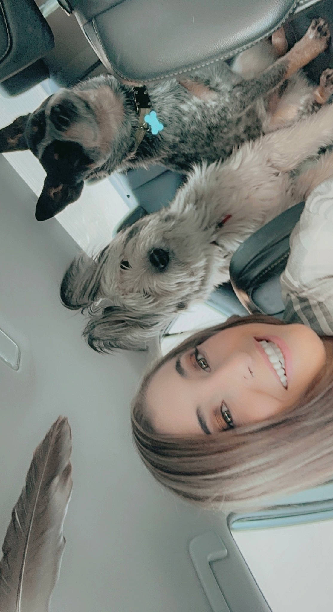 Kita is registered to the contest to win money with this photo: art, canidae, companion_dog, dog_breed, eyelash, fashion_accessory, fawn, feather, fur, happy, selfie, smile, wing