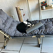 Perle a rejoint le concours — aidez-le/la à gagner de superbes lots ! cat, black_and_white, sleeping, lounge_chair, cushion, scratching_post, toy_mouse, candle, shelf, indoor, tile_floor, wall, relaxation, pet, cozy, resting, furniture, home, quiet, comfort