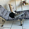 cat, black_and_white, sleeping, lounge_chair, cushion, scratching_post, toy_mouse, candle, shelf, indoor, tile_floor, wall, relaxation, pet, cozy, resting, furniture, home, quiet, comfort