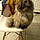 Minette