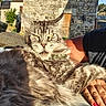 Océane a rejoint le concours — aidez-le/la à gagner de superbes lots ! cat, tabby_cat, gray_fur, fluffy, close_up, outdoor, sunlight, person, hand, nails, stone_wall, rustic, building, fence, nature, animal, pet, relaxed, expression, portrait
