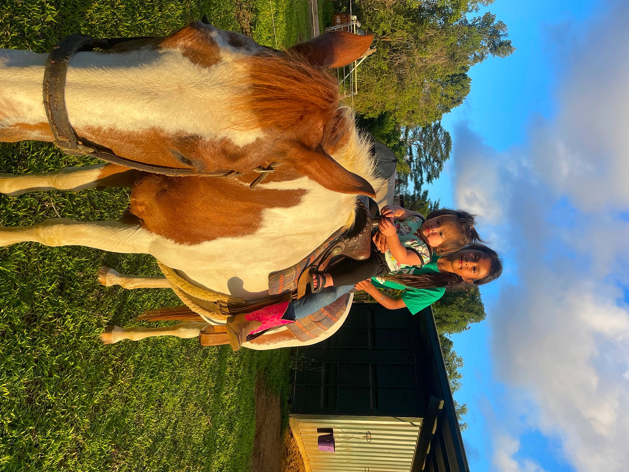 Hilinai joined the competition — help win amazing prizes! blue, bridle, cloud, fawn, fun, grass, happy, horse_tack, human_body, joy, leisure, liver, people_in_nature, person, plant, recreation, sky, sorrel, tail, terrestrial_animal