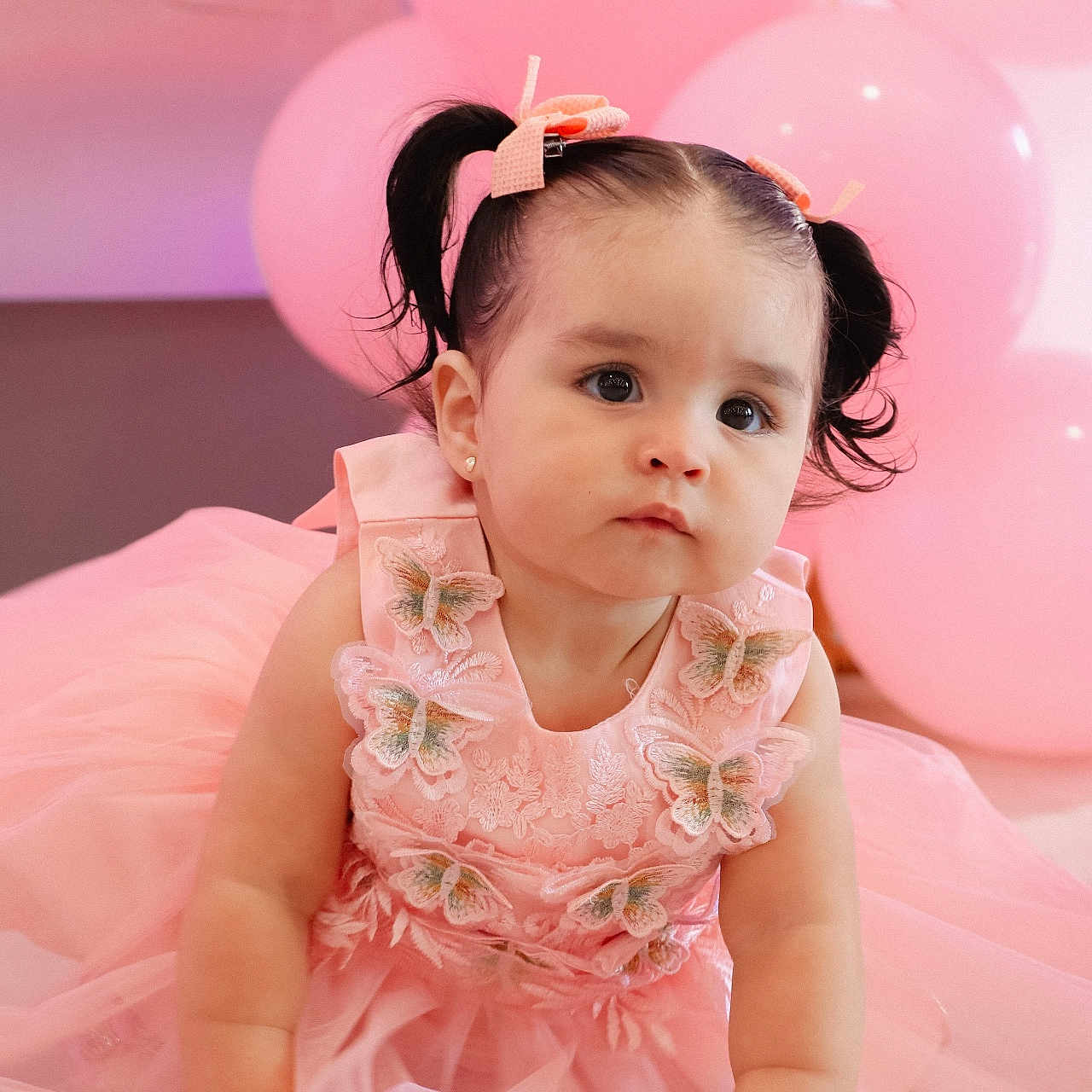 Isabella