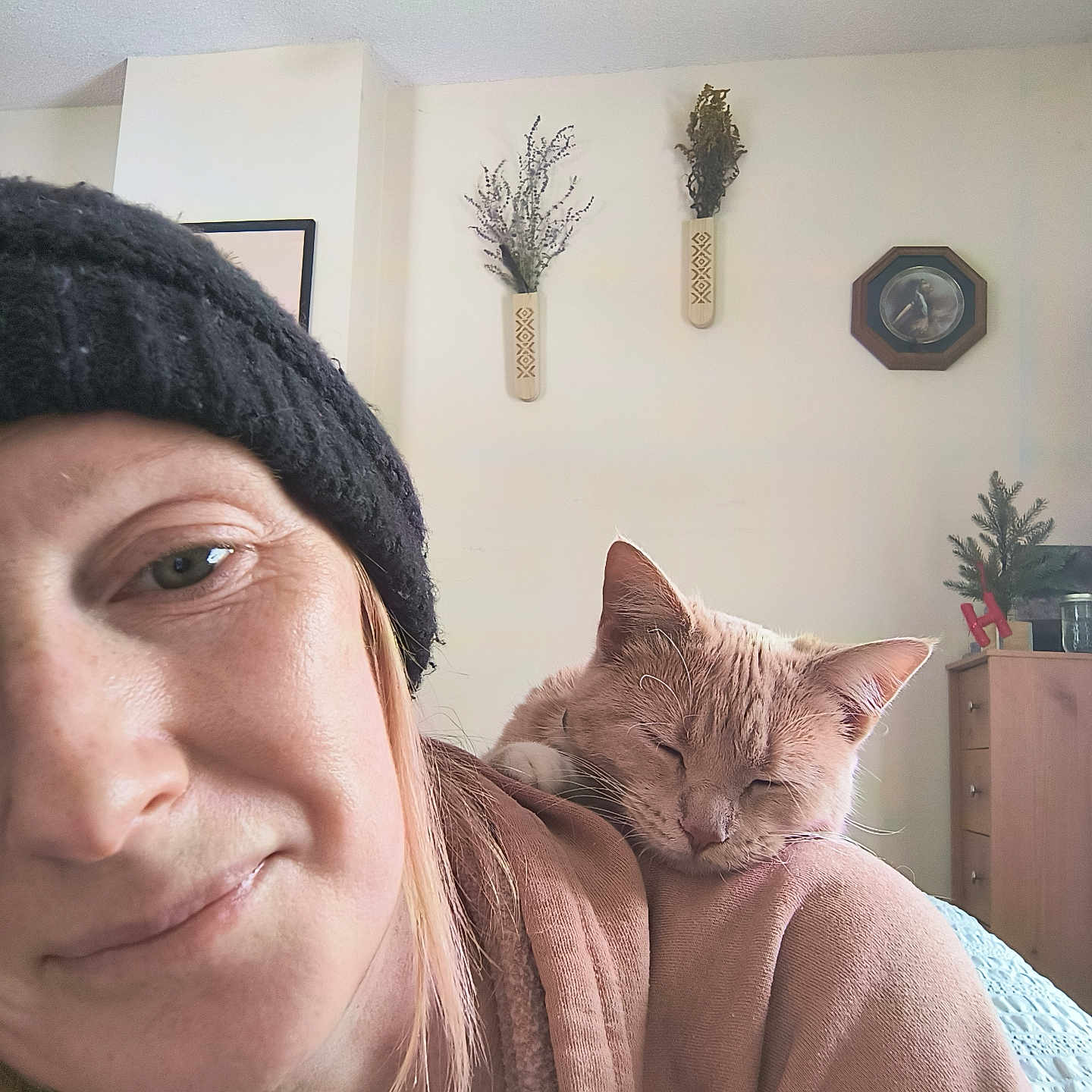 Nala joined the competition — help win amazing prizes! cabinet, cat, closeup, cozy, cute, hat, home, indoor, knit_hat, person, pet, plant, portrait, relaxed, resting, selfie, shoulder, sleeping_cat, sweater, wall_decor
