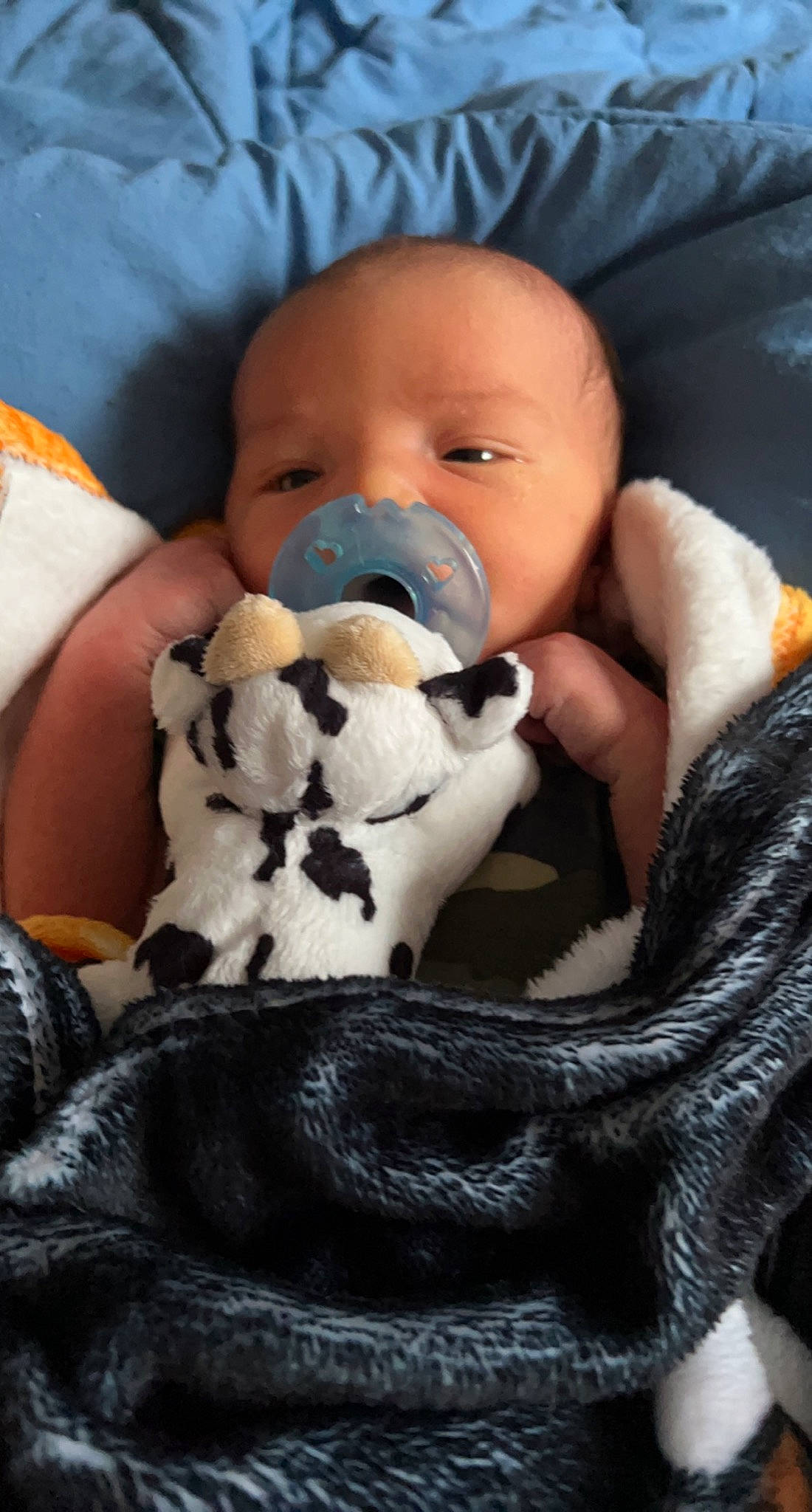 Hudson is registered to the contest to win money with this photo: baby, baby_products, baby_sleeping, baby_toddler_clothing, cheek, child, comfort, companion_dog, eye, head, human_body, linens, person, plush, skin, stuffed_toy, teddy_bear, textile, toddler, toy