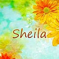 Sheila V.