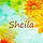 Sheila V.