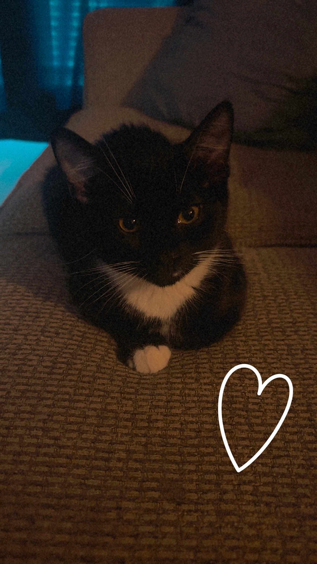 Bandit