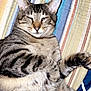 cat, tabby, pet, feline, striped, fur, whiskers, relaxed, sleepy, quilt, bed, indoor, closeup, paw, ears, animal, cute, resting, domestic_animal, mammal