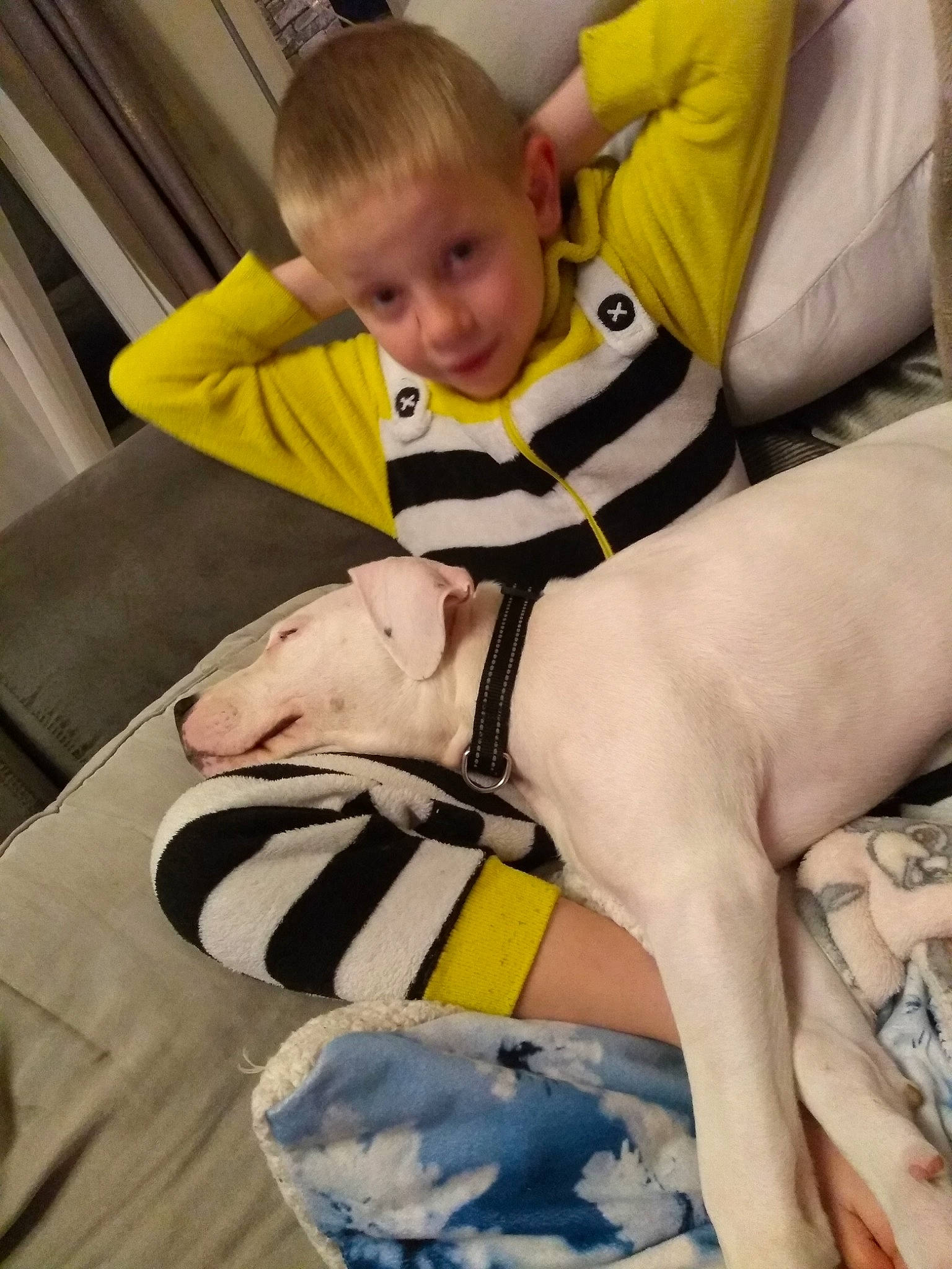 Sofia a rejoint le concours — aidez-le/la à gagner de superbes lots ! canidae, child, dog_breed, leg, person, sporting_group, toddler