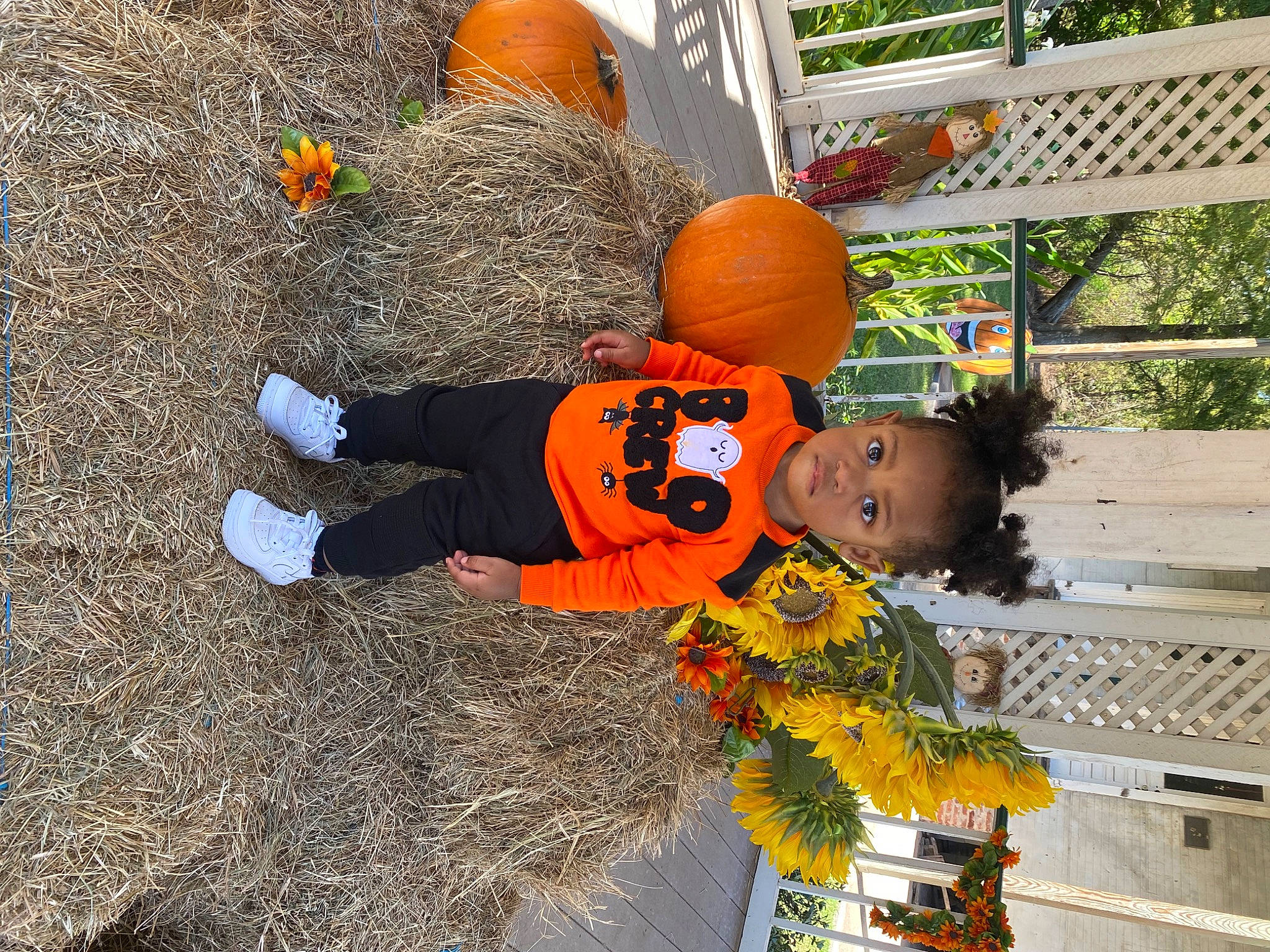 Jamari is registered to the contest to win money with this photo: agriculture, ball, calabaza, child, cucurbita, flooring, fun, gourd, grass, leisure, orange, person, plant, play, pumpkin, soil, toddler, tree, vegetable, winter_squash