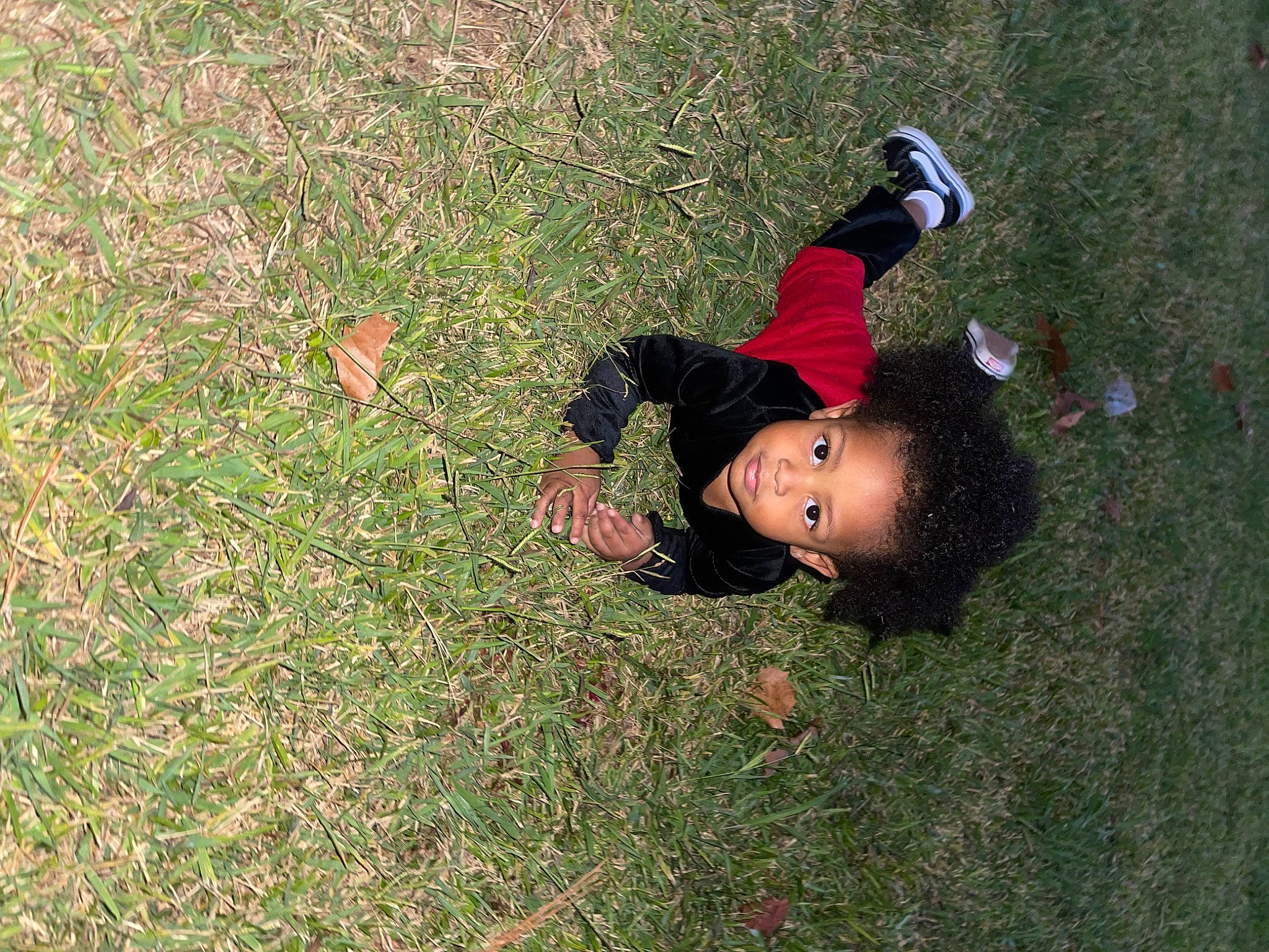 Jamari joined the competition — help win amazing prizes! fun, grass, grass_family, grassland, groundcover, happy, hat, landscape, lawn, leisure, meadow, pasture, people_in_nature, person, plant, prairie, recreation, shadow, soil, sunglasses