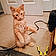 Tigger