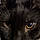 Onyx