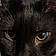 Onyx