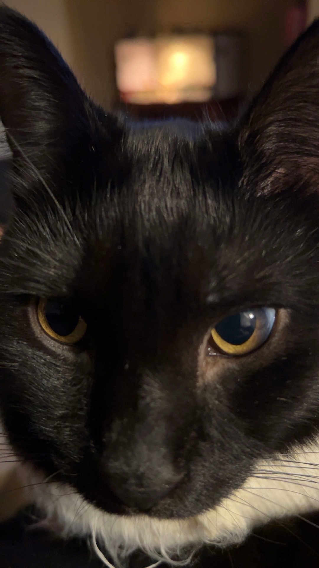 Onyx