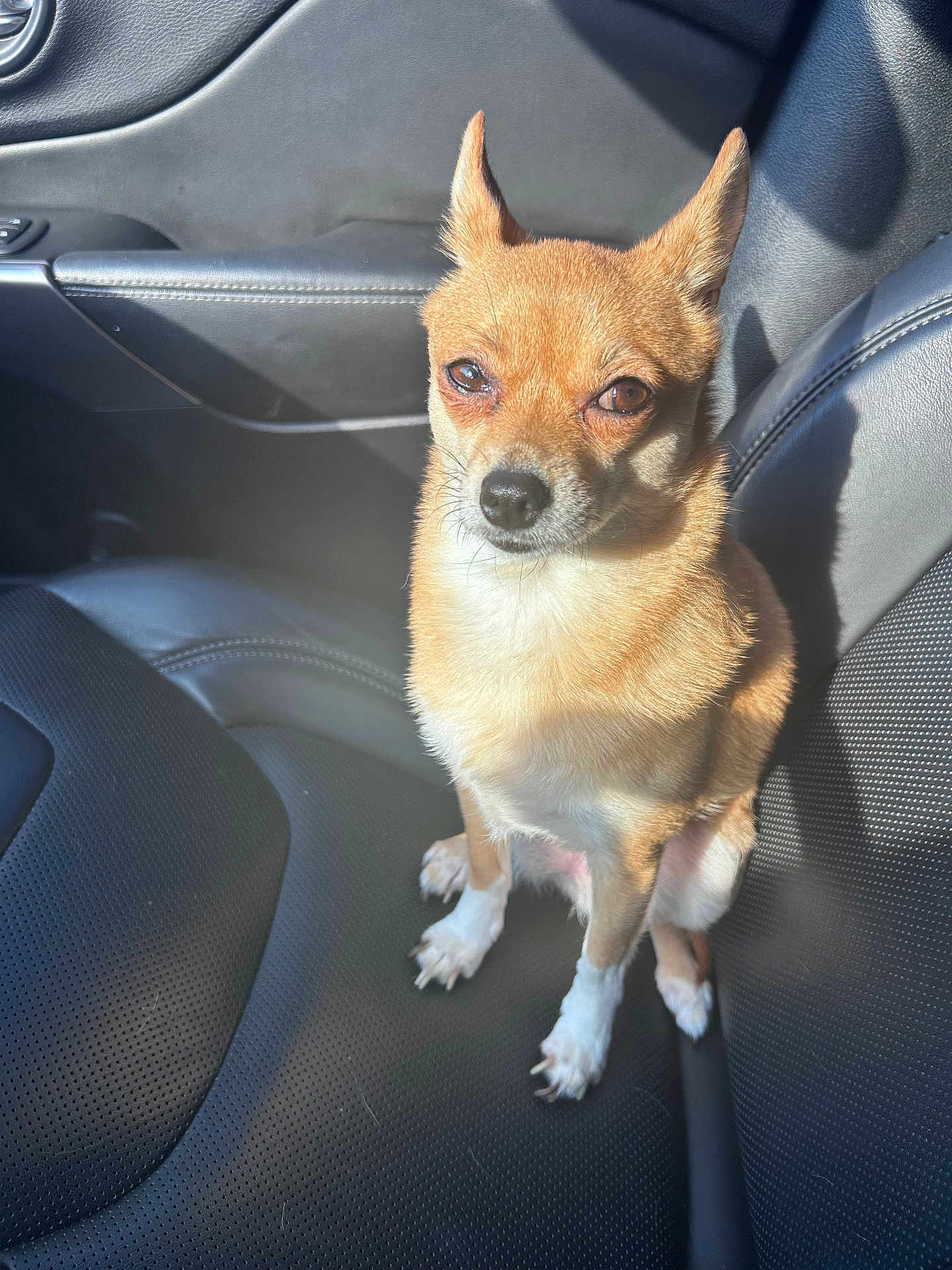 Lola