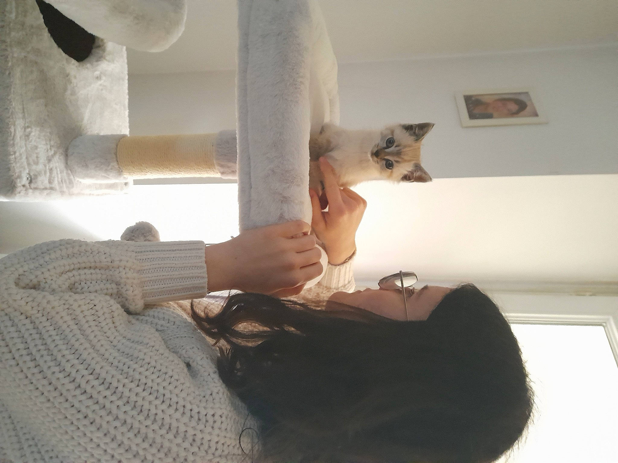 Charlie participe au concours pour gagner de l'argent avec cette photo : comfort, elbow, felidae, finger, floor, flooring, foot, fur, gesture, hardwood, human_leg, knee, leg, linens, plaster, room, stairs, thigh, waist, wood