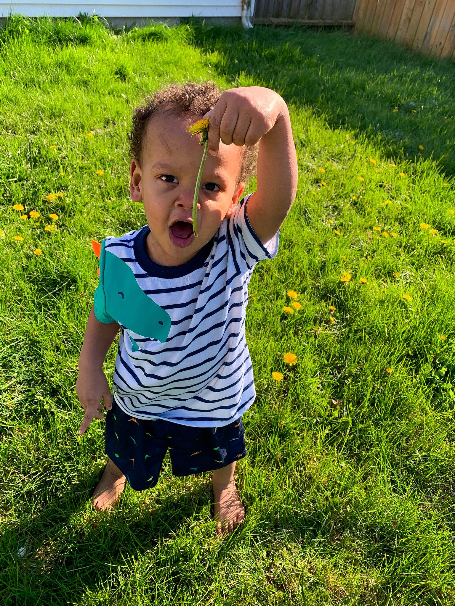 Mekhi joined the competition — help win amazing prizes! child, garden, grass, grass_family, green, happy, lawn, leaf, meadow, people_in_nature, person, plant, play, smile, spring, summer, t_shirt, toddler, tree, vacation