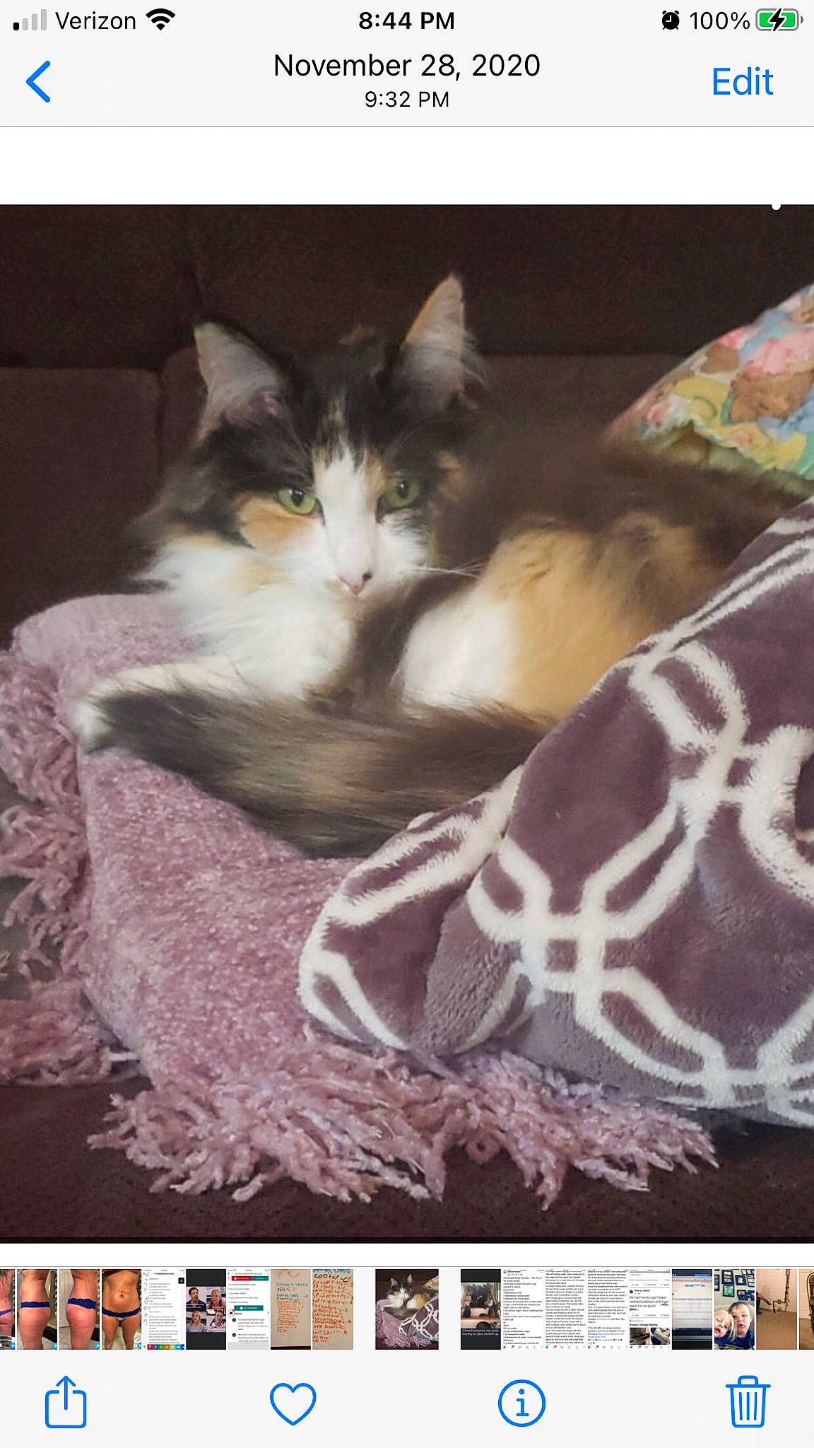 Fatty is registered to the contest to win money with this photo: advertising, box, carnivore, cat, cat_supply, darkness, domestic_short_haired_cat, felidae, font, fur, illustration, mammal, paw, photo_caption, publication, room, small_to_medium_sized_cats, tail, vertebrate, whiskers