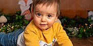 Grégory participe au concours pour gagner de l'argent avec cette photo : animal, baby, babycrawling, bodypart, cat, clothing, crawling, face, finger, hand, hardwood, head, jeans, pants, person, pet, photography, portrait, sitting, wood