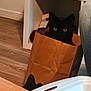 black_cat, paper_bag, indoor, wood_floor, furniture, jeans, cat_ears, curious, pet, animal, domestic, brown_bag, flooring, playful, eyes, shadow, leg, cozy, household, mischievous