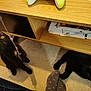 black_cat, cat, pet, indoor, carpet, wooden_shelf, string, playful, animal, feline, curious, paws, yellow_eyes, footwear, polka_dot_socks, floor, household, domestic, two_cats, shadow