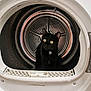 cat, black_cat, dryer, appliance, household, curious, yellow_eyes, metal, inside, domestic, pet, feline, home, cleaning, laundry, cage, round, door, shiny, close_up
