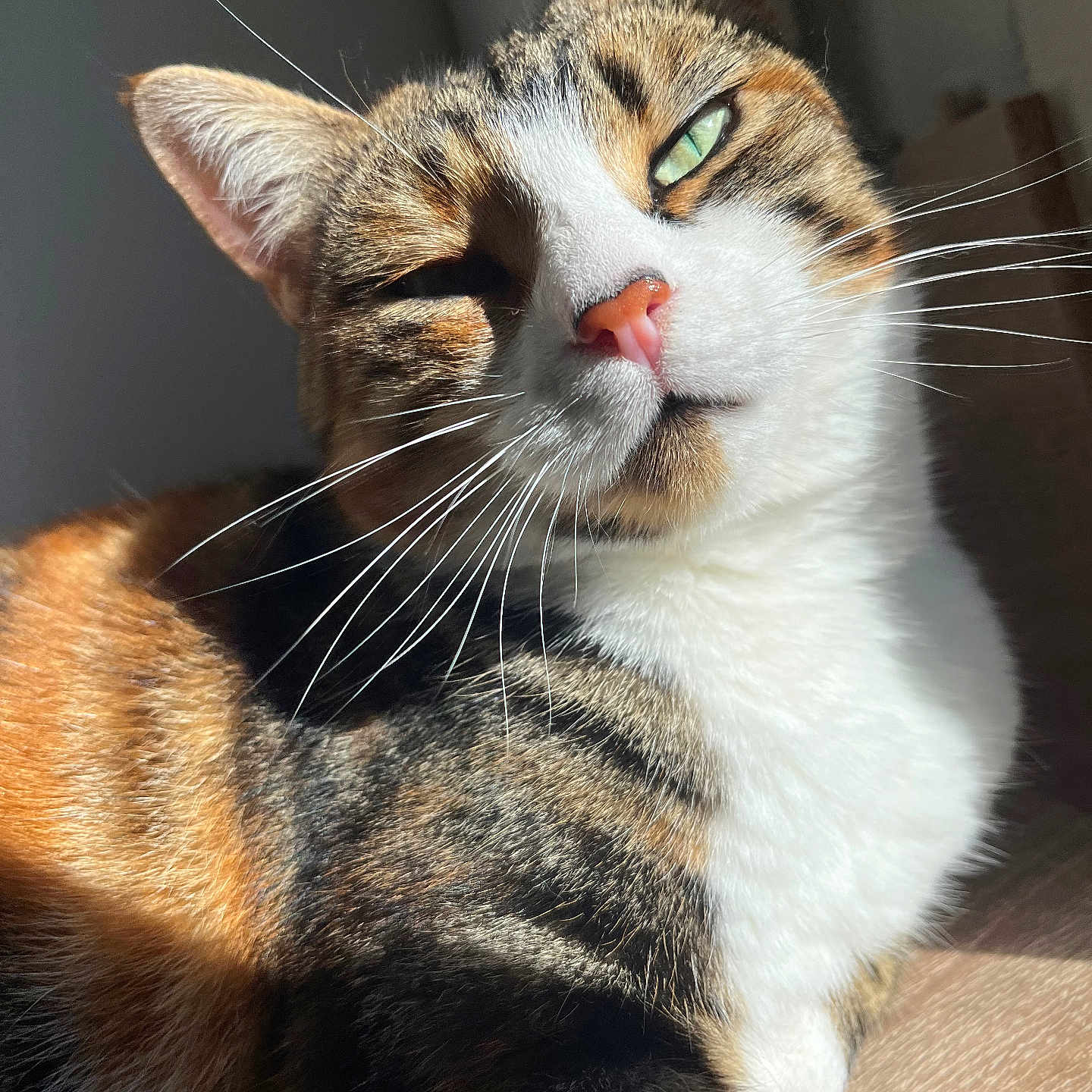 Luna