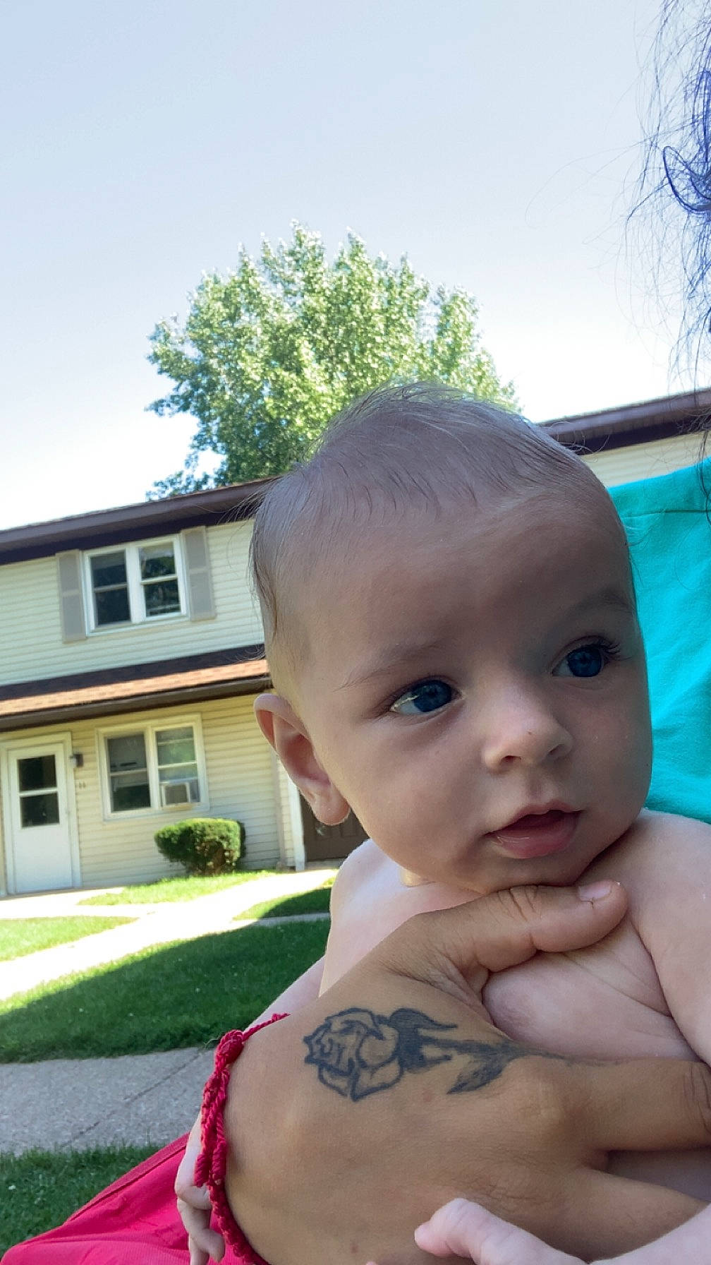 Zane joined the competition — help win amazing prizes! baby, building, chest, child, chin, fun, grass, house, leisure, nose, person, plant, recreation, sitting, sky, tattoo, thumb, toddler, tree, trunk