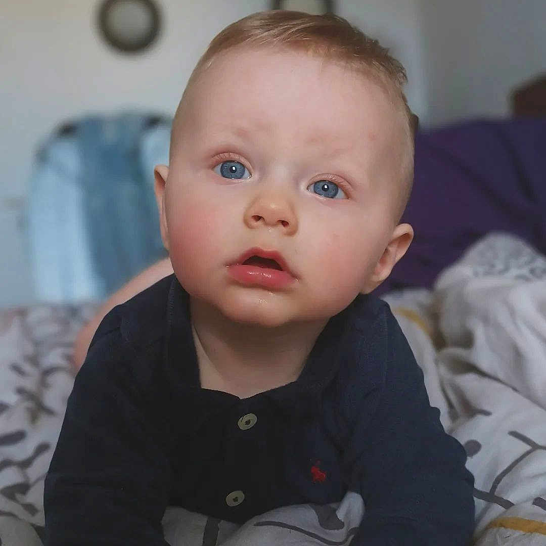 Nolan