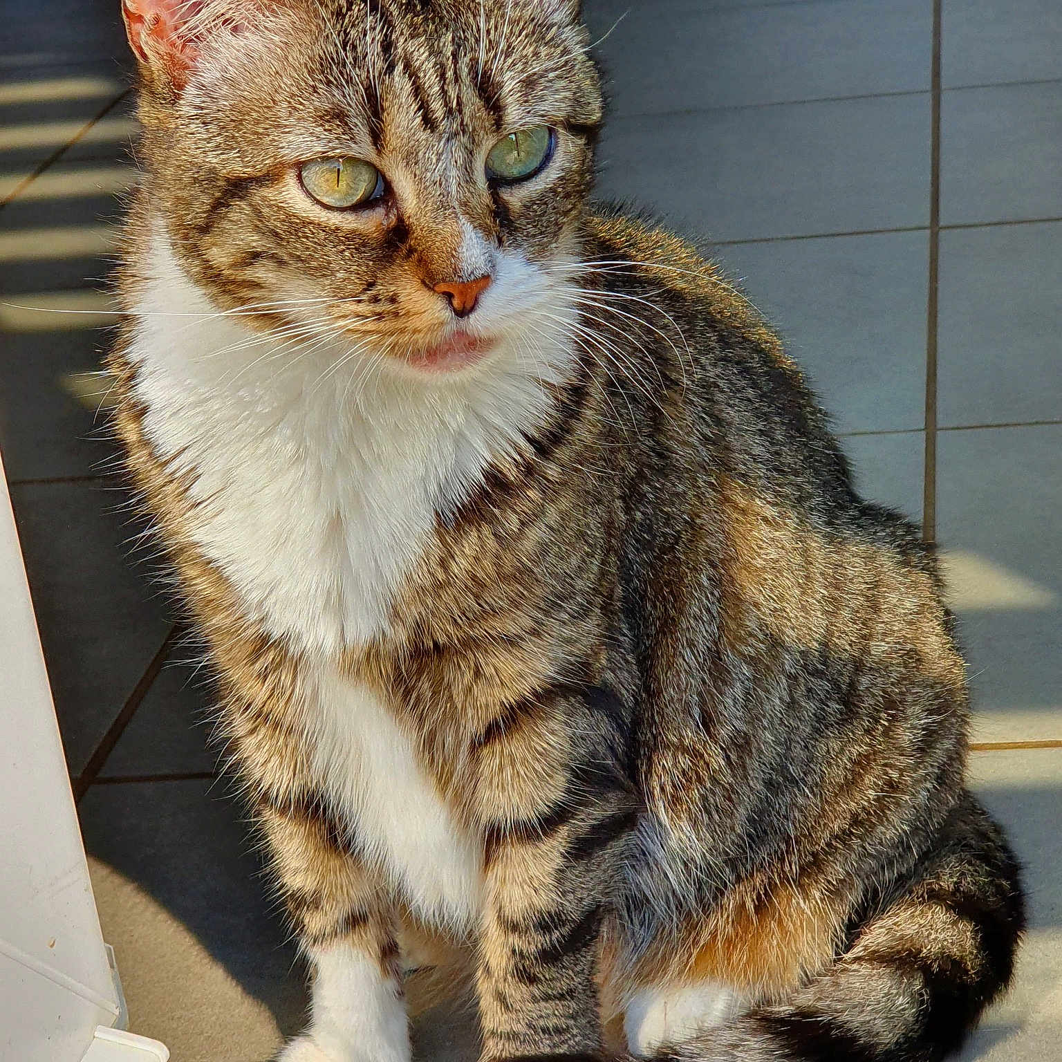 Mickey