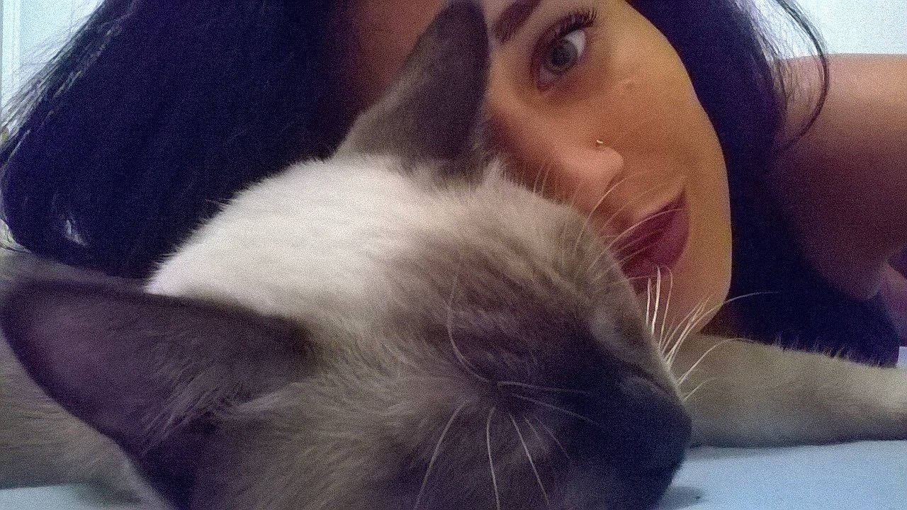 Oracio participe au concours pour gagner de l'argent avec cette photo : carnivore, cat, domestic_rabbit, ear, fawn, felidae, fur, mouth, nap, nose, photography, rabbit, rabbits_and_hares, ragdoll, selfie, skin, small_to_medium_sized_cats, snout, snowshoe, whiskers