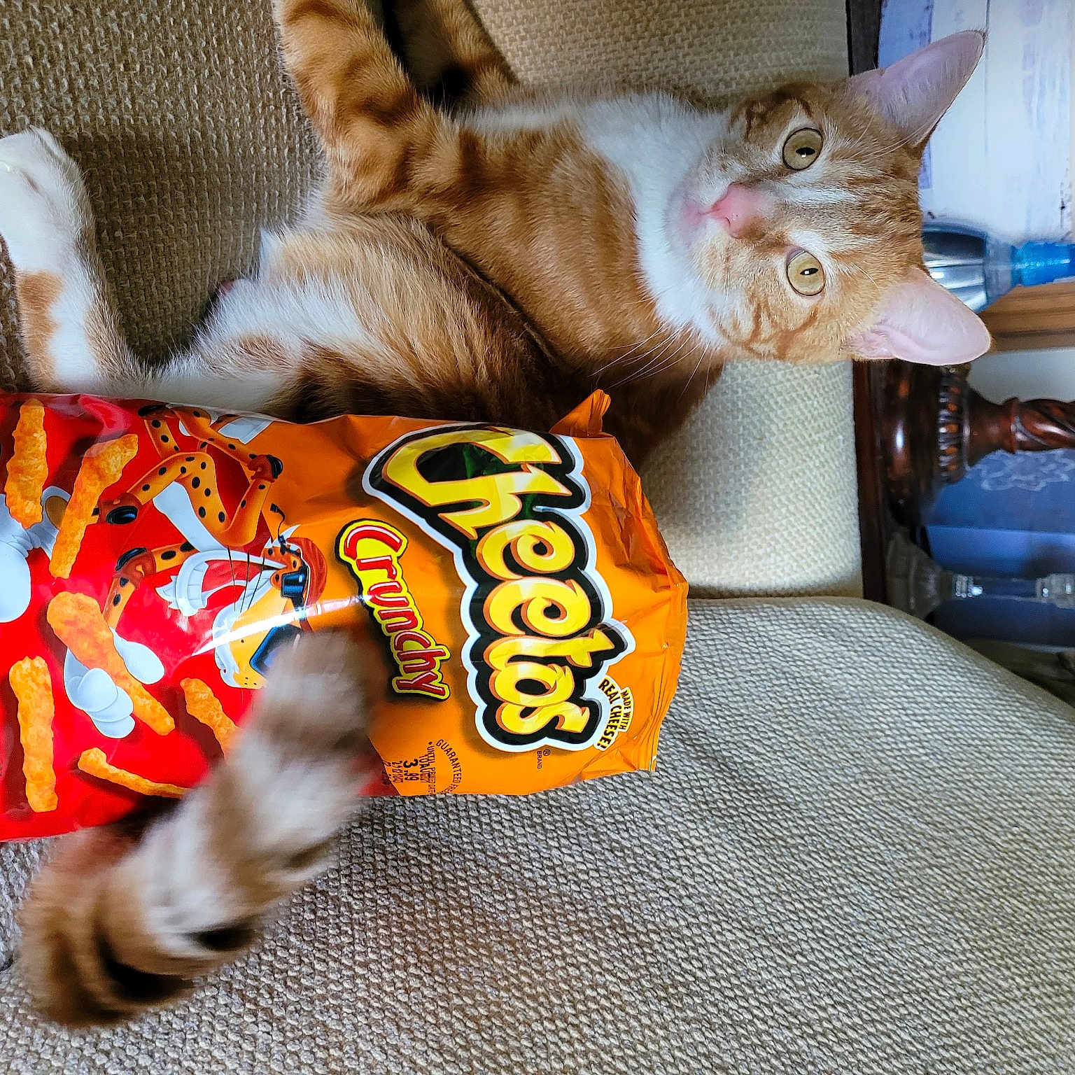 Cheeto