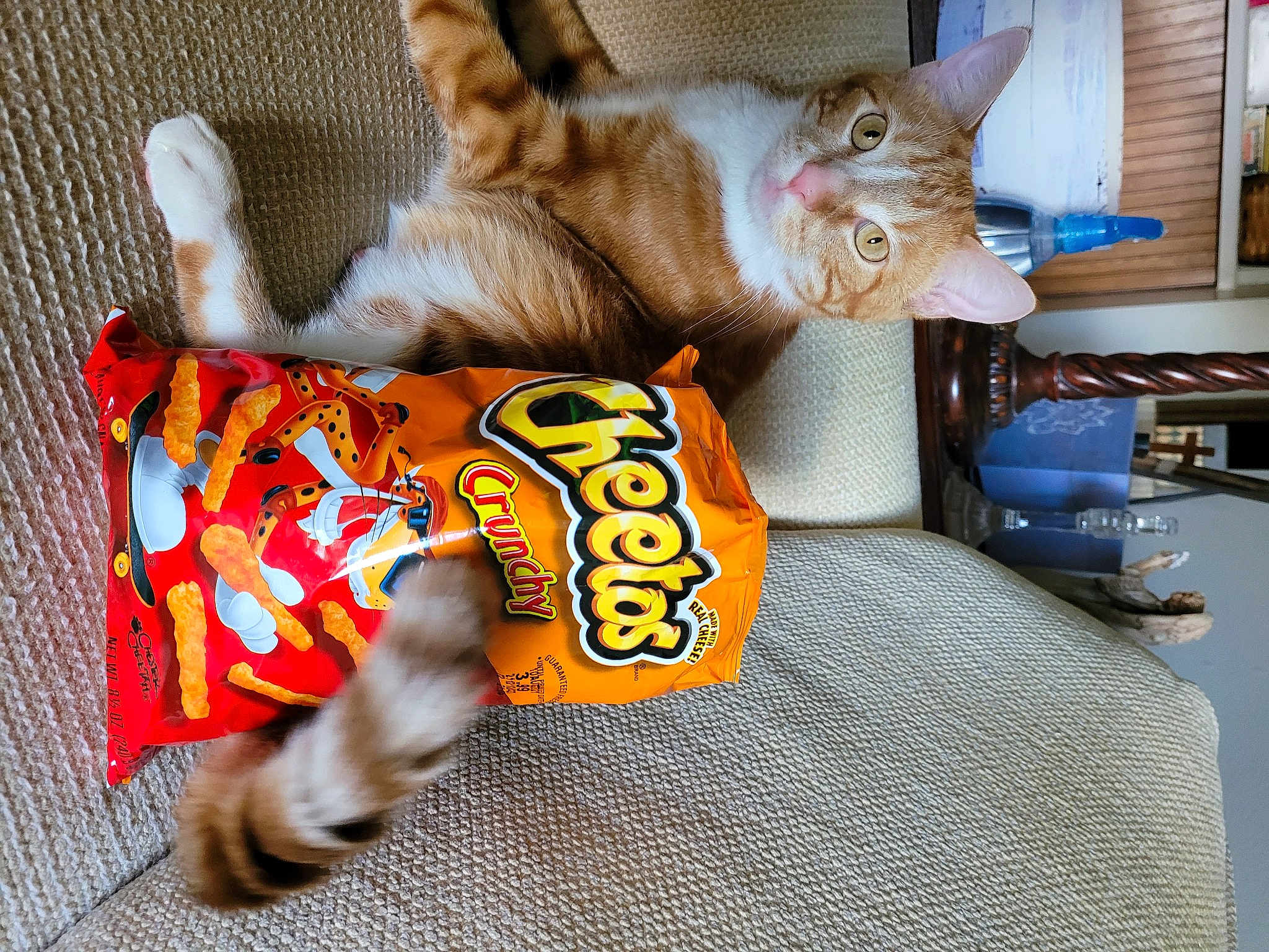 Cheeto