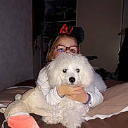 Ony participe au concours pour gagner de l'argent avec cette photo : bichon, bolognese, bolonka, canidae, carnivore, companion_dog, coton_de_tulear, dog, dog_breed, head, maltepoo, maltese, mammal, miniature_poodle, non_sporting_group, nose, poodle, skin, toy_poodle, vertebrate