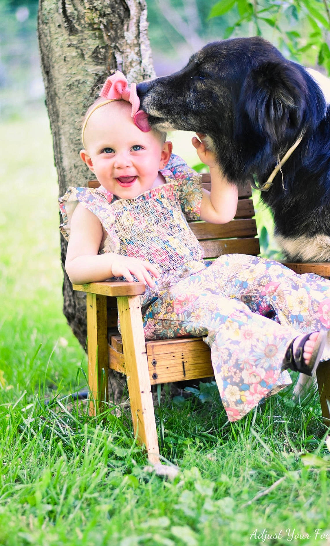 Avaleigh joined the competition — help win amazing prizes! carnivore, chair, child, companion_dog, dog, dog_breed, fawn, fun, fur, grass, happy, headwear, joy, lawn, leisure, people_in_nature, person, plant, recreation, sitting