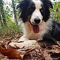 Kacper N.