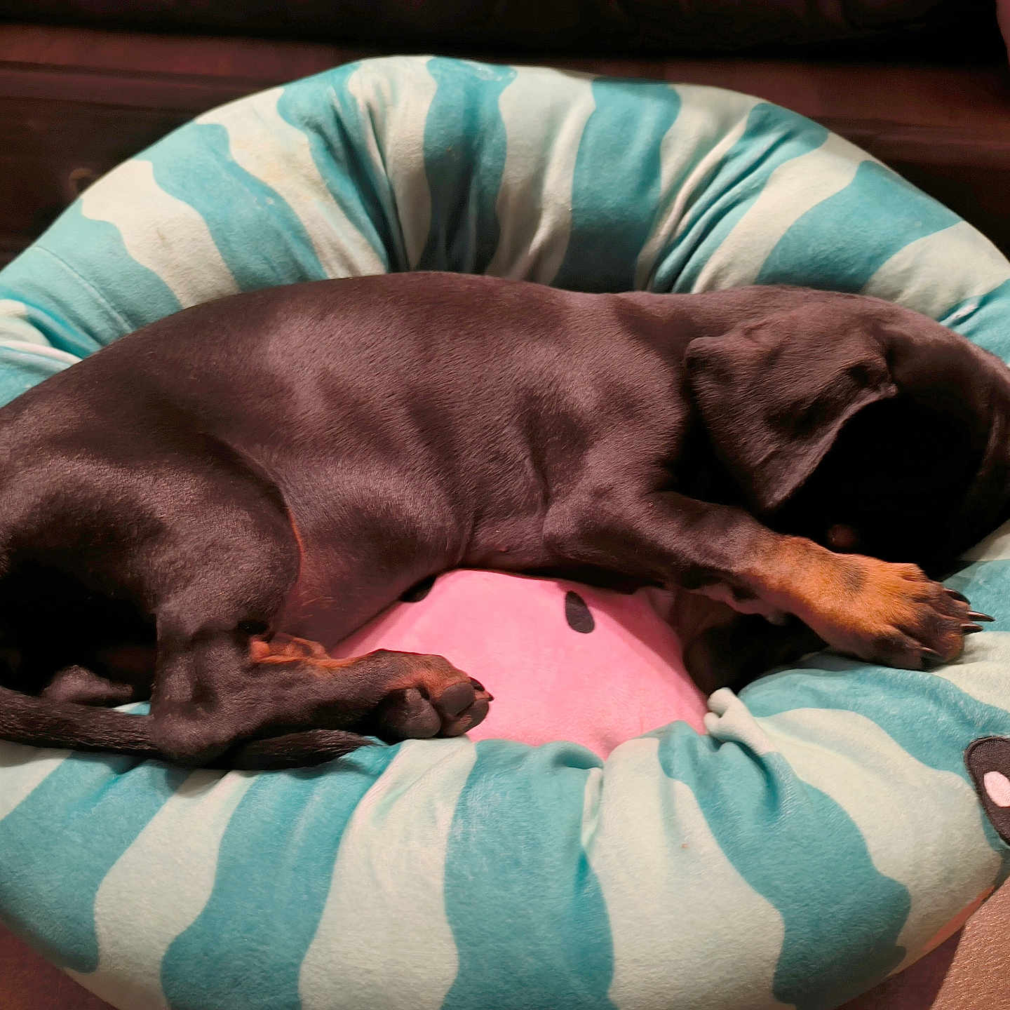 Pixie