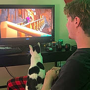 Bean joined the competition — help win amazing prizes! black_and_white_cat, carpet, cat, chair, coca_cola_sign, controller, desk, gaming_headset, home_interior, keyboard, living_room, monitor, mouse, person, pet, plaid_pants, poster, sitting, television, watching_tv